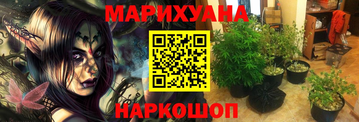 Бошки марихуана семена  Шишки марихуана план  Нурлат  Вход с VPN  Бошки Шишки Ganja  Бошки марихуана индика 